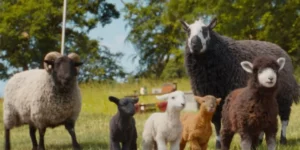 Film THE SHEEP DETECTIVES – Sinopsis, Pemeran dan Fakta Menarik